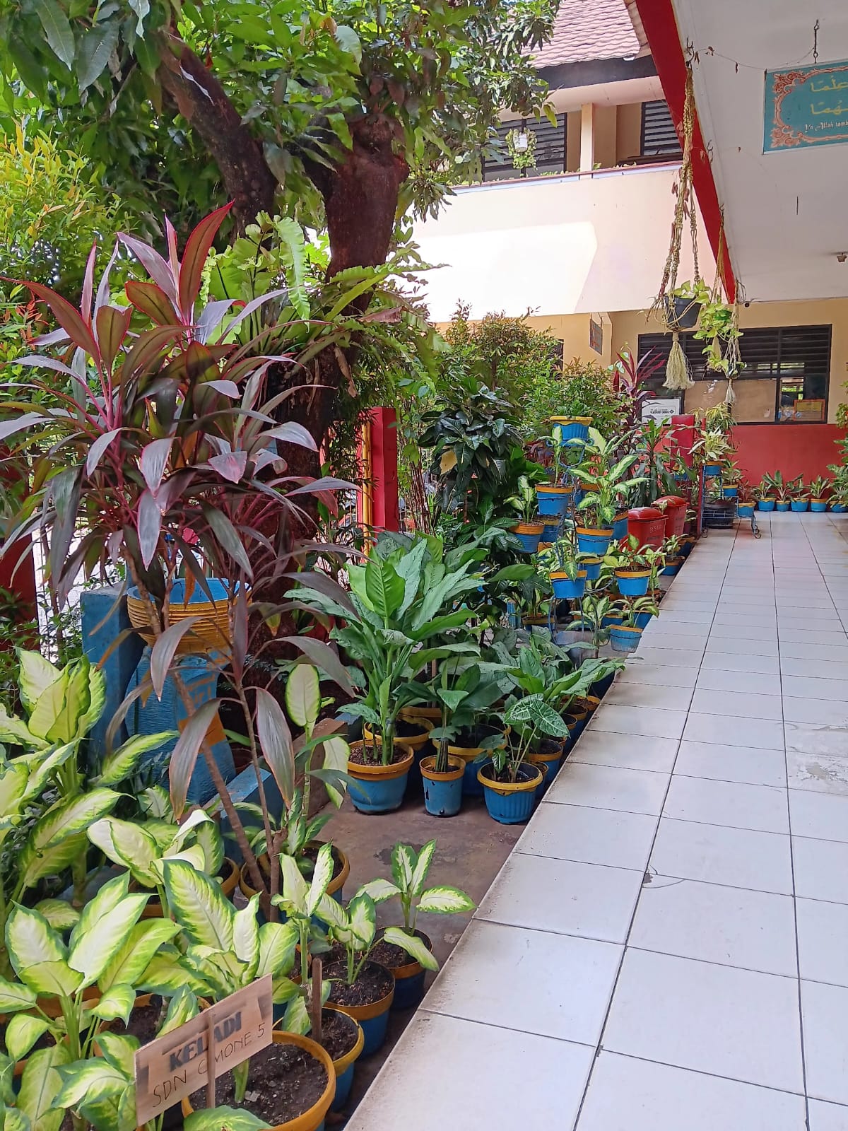 Fasilitas Sekolah 11