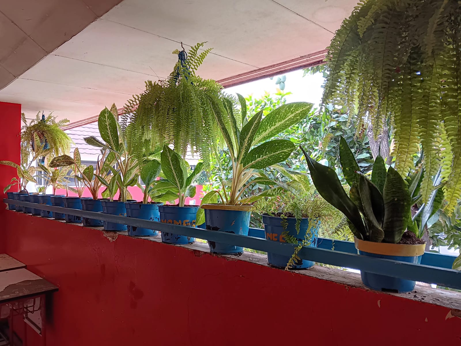 Fasilitas Sekolah 13