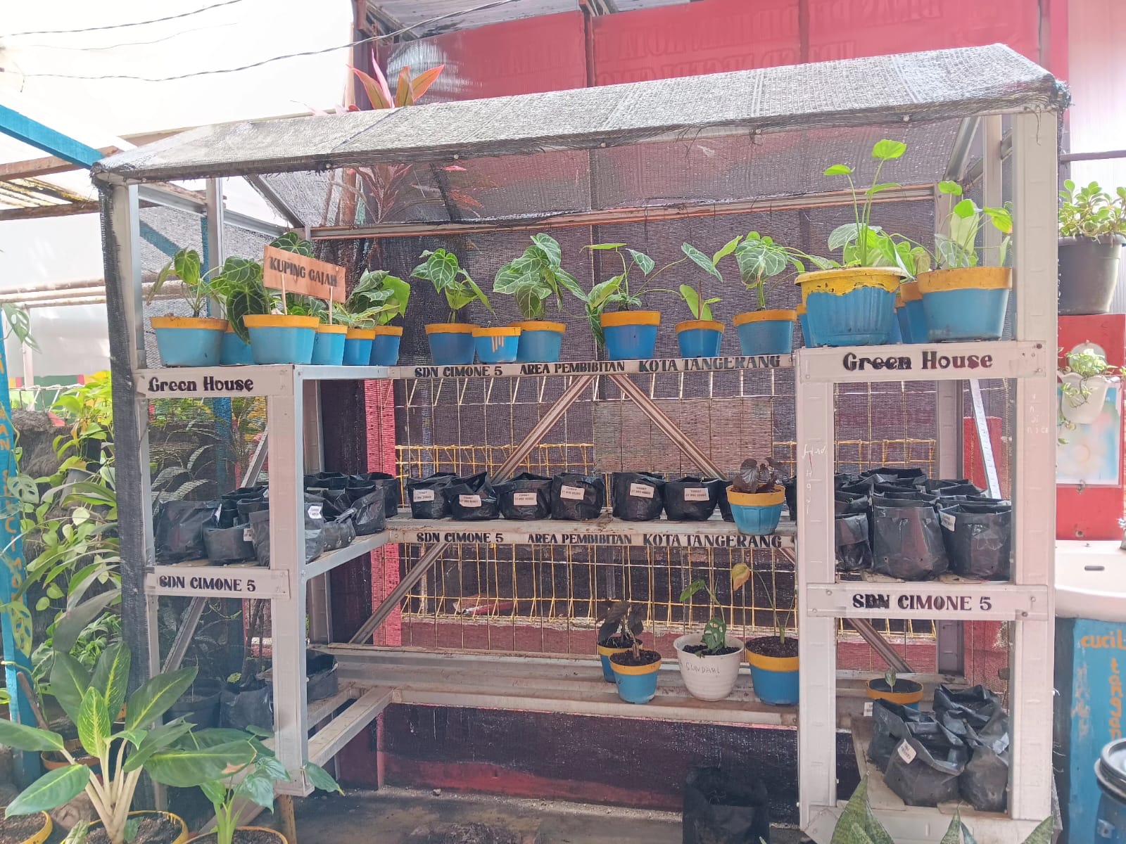 Fasilitas Sekolah 17